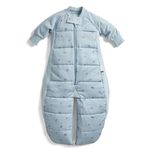 ergoPouch 2.5 TOG Baby Sleep Sack – 100% Organic Cotton Baby Sleep Suit Bag for Cozy Baby’s Night – Temperature Control Baby Blanket (Dragonflies, 8-24 Months)