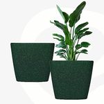Eha Set of 2 Earth-Friendly Daisy 9" Self-Watering pots and Planters | Bamboo Based | UV Protected | for Indoor, Home Decor, Outdoor, Balcony & Garden | Green