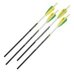 Allen Company Razor MOA100 Archery Crossbow Bolt, 20-Inch by Allen, 4 Pack