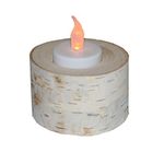 Wilson Evergreens White Birch Tealight Candle Minis