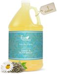 1-Shoppe Terra Pure Eco Botanics Natural Hand and Body Wash with Raw Honey & White Tea | Gallon Jug Bulk Toiletries for Airbnb, Vacation Rentals, and Home Bathroom | Refill For Soap Dispensers