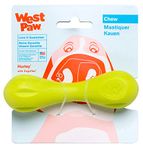 West Paw Zogoflex Hurley Durable Dog Bone Chew Toy for Aggressive Chewers, 100% Guaranteed Tough, It Floats!, Made in USA, Mini, Granny Smith