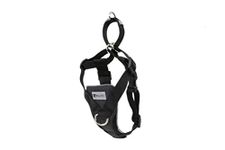 RC Pet Products Tempo No Pull Dog Harness, X-Large, Heather Black (68805001)