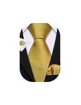 Barry.Wang Solid Gold Ties for Wedding Business Necktie and Pocket Square