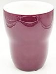 Starbucks Coffee 2008 Aida Plum Double Wall Thermal Coffee Mug 8 Oz.