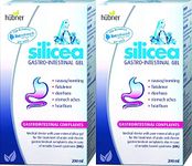 Hubner Silicea Gastrointestinal Gel Stomach ache, Flatulence, Nausea, Vomiting, Diarrhoea and Heartburn 200ml (Twin Pack)