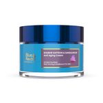 Blue Nectar Men Face Cream Natural Skin Brightening Cream Anti Aging Cream for Men with Sandalwood Saffron and Almond Oil 14 Herbs 50g