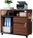 Letaya Mobile 2 Drawer File Cabinet with Lock, Metal Lateral Printer Stand Filing Storage Cabinets with Shelves for Home Office-A4/F4/Letter