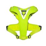 Voyager Maverick Dual Attachment No Pull Dog Harness, Easy Walk Harness with Padded Mesh, Dog Walking Harness for Small, Medium, and Lage Dogs by Best Pet Supplies - Lime Green, S