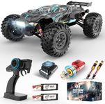 Hosim 1:10 Brushless RC Car for Adu