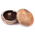 Portobello Mushroom 20 Pieces