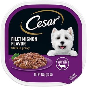 CESAR Filets in Gravy Adult Wet Dog Food, Filet Mignon Flavor, 3.5 oz., Pack of 24