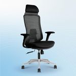 Vergo Icon Premium Mesh Office Chair High Back | Lumbar, 4D Adjustable Armrests, Tilt Lock Mechanism, Aluminum Base Seat Slider | Ergonomic Work from Home, Study Desk Chair, 3 Years Warranty (Black)