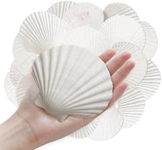 ASBEFORE 10Pcs 4-5“ Sea Shells Natural Scallop for Crafts - DIY Jewelry Holder Large Painting Beach Decorations Ocean Themed Sea Party Wedding Shell Bowl
