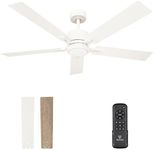 VAGIZM Ceiling Fan 52'' with Light: Modern Remote Control Fans Downrod Mounted - Quiet Reversible DC Motor - Light Memory Function for Patio Dining Room Outdoor Indoor(Matte White)