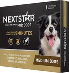 NEXTSTAR F