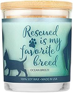 Pet House Sentiments Candle, Natural Soy Wax, Pet Lover Gifts, Non-Toxic, Allergen-Free, Eco-Friendly Candle, Pet Odor Neutralizer, by One Fur All, Ocean Breeze