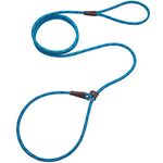 Boswany 7Ft Slip Lead Dog Leash for Small Dogs, No Pull Small Puppy Pet Training Leash, Lightweight Nylon Rope Leash