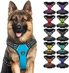 CollarDirect No Pull Reflective Dog Harness with Handle and Front Clip, Adjustible Soft Padded Vest for Small to Large Dogs Training and Walk (Size XL, Light Blue)