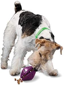 PetSafe Bu