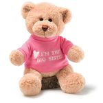 GUND Big Sister Bear Plush Toy