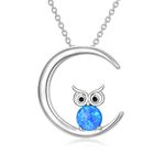 ROMANTICWORK Owl Necklace Sterling Silver Owl Moon Pendant Animal Jewellery Gifts for Women Girls