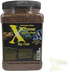 Xtreme Big