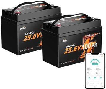 LiTime 2 Pack 24V 100Ah Group 31 Bluetooth LiFePO4 Battery for RVs, Off-Grid - Mini Size, 6000+ Deep Cycles, Low-temp Cutoff Protection