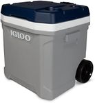 Igloo - Maxcold Latitude 62 Roller 