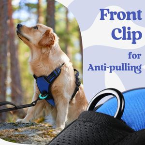 rabbitgoo Medium Dog Harness – No Pull, Adjustable, Reflective, Blue