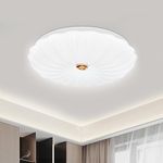 VIPMOON 22W LED Passage Ceiling Light, High Brightness Flush Light, 6500K Daylight White, Dome Modern Shells Recessed Ceiling Light, Suitable for Bathroom, Porch, Kitchen, Utility Room, Hallway