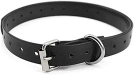 PetSpy Extra Dog Collar Strap - Com