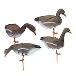 Oshhni 4Pcs Outdoor Realistic Goose Hunting Decoy Full-Body Scarer Shooting Decoys