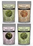 HARIBAS Seeds for Sprouting 100gm Each | Microgreens Sprouting | Pack of 4 Alfalfa, Fenugreek, Clover, Radish Seeds | Satvi Lifestyle | Super Seeds for Healthy Salads