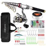 Fishing Rod Reel Combo Full Kit Telescopic Fishing Pole Set Spinning Reel Line Lures Hooks and Fishing Carrier Bag Saltwater Freshwater Fishing Gear for Kids Adults Professional (2.4M/7.87FT)