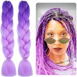 Leogony 2PCS 2 Tone Hair Extensions for Braiding, Deep Purple and Light Purple Mermaid Fake Braids Hair, Plait Coloured Synthetic Wig