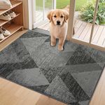 COSY HOMEER Dirt Trapper Door Mat for Indoor 60 x 90 cm, Dirt Trapper Front Door Mat, Polyester Welcome Mat Entrance Rug, Absorbent Non-Slip Indoor Doormat Machine Washable, Light Grey