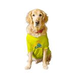 Ruse Crew Neck Half Sleeves T-Shirt for Dogs IPL Chennai Supaw Clings Team Dog Cotton Jersey Printed Breathable Tees Apparel for Pet - Gift for Dogs (Desi/Stray, Doberman etc) (Yellow, L)