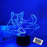 FULLOSUN Cat Bedside Light for Kids, Kitty 3D Neon Illusion Night Lamp LED Remote Control 16 Color Changing, Bedroom Decor Christmas Thanksgiving Best Birthday Gift for Child Baby Girl