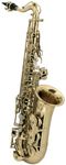 Roy Benson Kinder Eb-Alt Saxophon MOD.AS-201 lackiert, inkl. leichtem Rechtecketui
