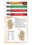 Alternative Medicine Guides - 4-Chart Bundle - Holistic Health Quick Reference Guide by Permacharts