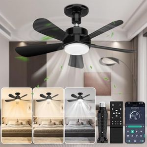 Socket Fan