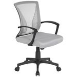 Yaheetech Adjustable Desk Chair Executive Computer Office Chair Ergonomic Swivel Mesh Chair with Comfy Lumbar Support and Arms for Home Light Grey