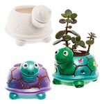 Baker Ross FX594 Tortoise Ceramic Flowerpots - Box of 2, Paint Your Own Plant Pot