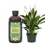 Premium Liquid Peace Lily Plant Fertilizer - 3-1-2 Concentrate for Indoor Plants and Flowers by GardenNova | Organic Plant Food for Peace Lily - 8oz