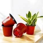 Sapling's World Thermoformed Plastic Pots (4 Inch Size) | Terracotta Colour | Unbreakable | Multiple Holes for Better Drainage | Best for Indoor & Outdoor Plants | (Pack of 100)