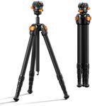 K&F CONCEPT Carbon Fiber Travel Tripod, 60" Compact Lightweight Portable Tripod with Low Profile Ball Head with Quick Release Plate for Arca, DSLR Mirrorless, Max Load 13.2lb