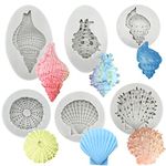 Paotxpum 6 Pcs Seashell Silicone Mold Cake Fondant Silicone Mold Seashell Conch Baking Molds for DIY Cake Decoration Chocolate Candy Polymer Clay Crafting Projects