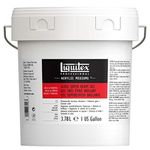 Liquitex Professional Gloss Super Heavy Gel Medium, 128-oz (gallon)