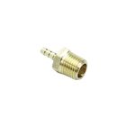 CDQBWKJGFJ Male Barb Fitting (3, Brass 1/8" Barb x 1/4" NPT)